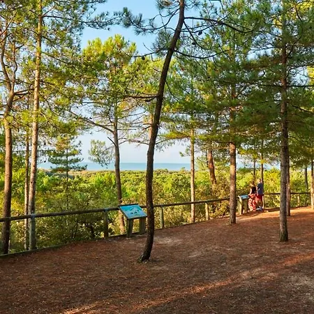 Lumineux Avec Balcon Face Mer, Ideal Jusqu'a 5 Personnes - Fr-1-323-298