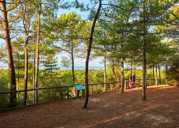 Lumineux Avec Balcon Face Mer, Ideal Jusqu'a 5 Personnes - Fr-1-323-298